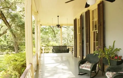 5 trees planted in the house Air purification and roots 