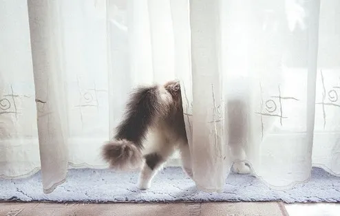 How to maintain airy curtains for rooms that require 