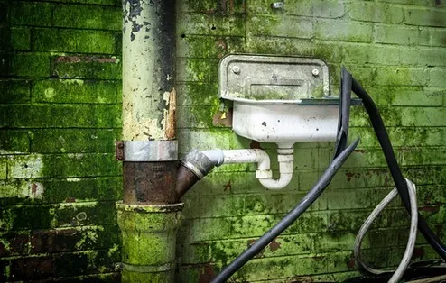 Folk problems with moss, how to fix them to reduce the cause