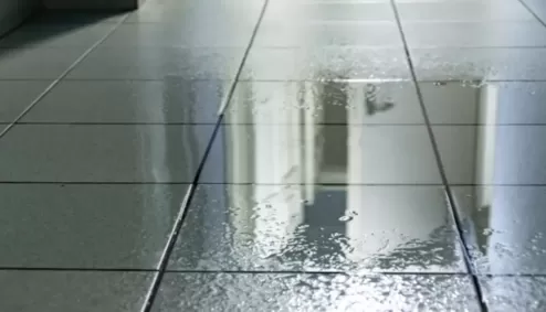 Cover_how-to-repair-leaking-tile-floor