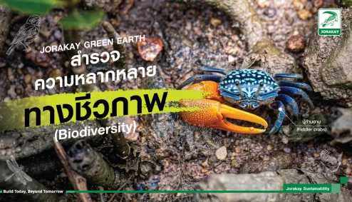โครงการ JORAKAY Green Earth สำรวจความหลากหลายทางชีวภาพ (Biod