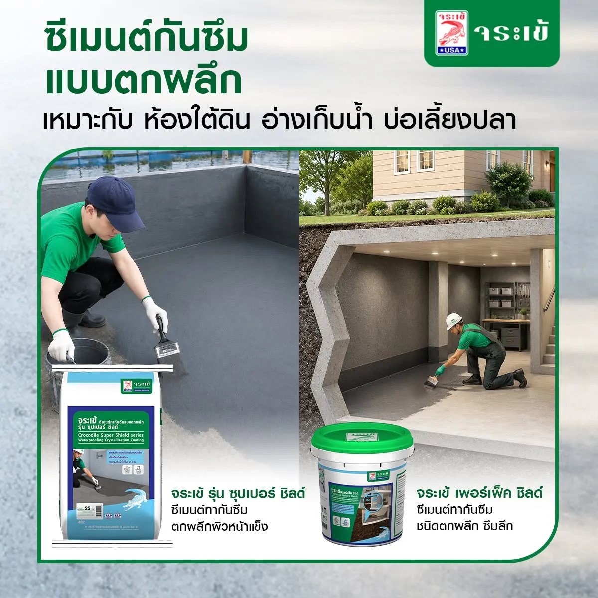  จระเข้ รุ่น ซุปเปอร์ ชิลด์