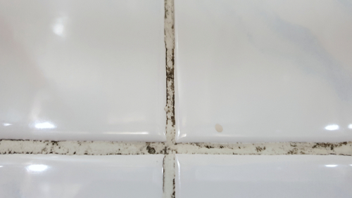  คราบสกปรกเกาะติดร่องยาแนว