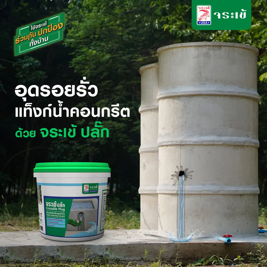 จระเข้ ปลั๊ก