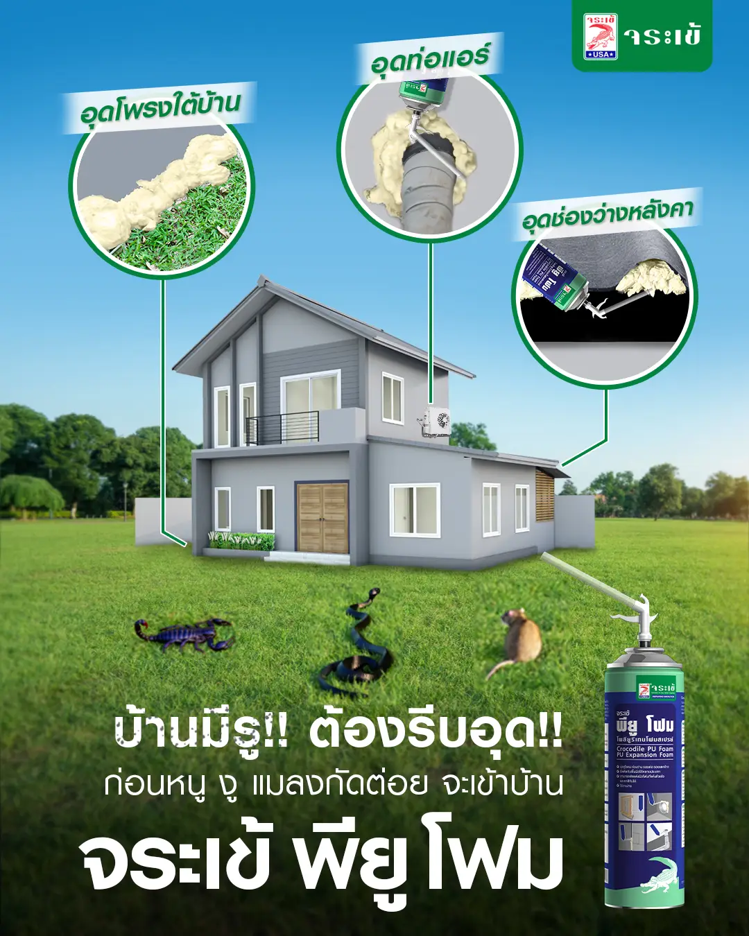 รูโพรงในบริเวณบ้าน