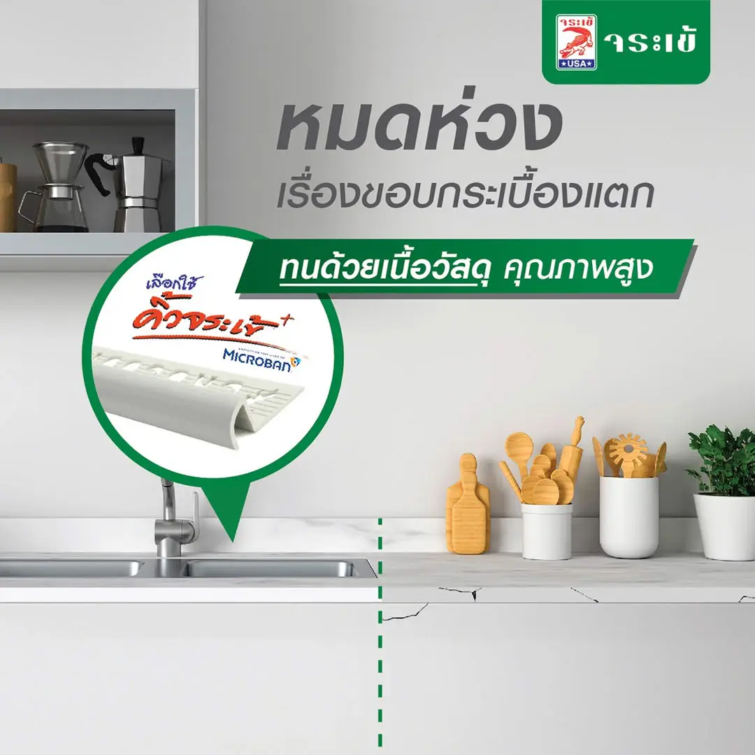 คิ้วจระเข้ พลัส ไมโครแบน