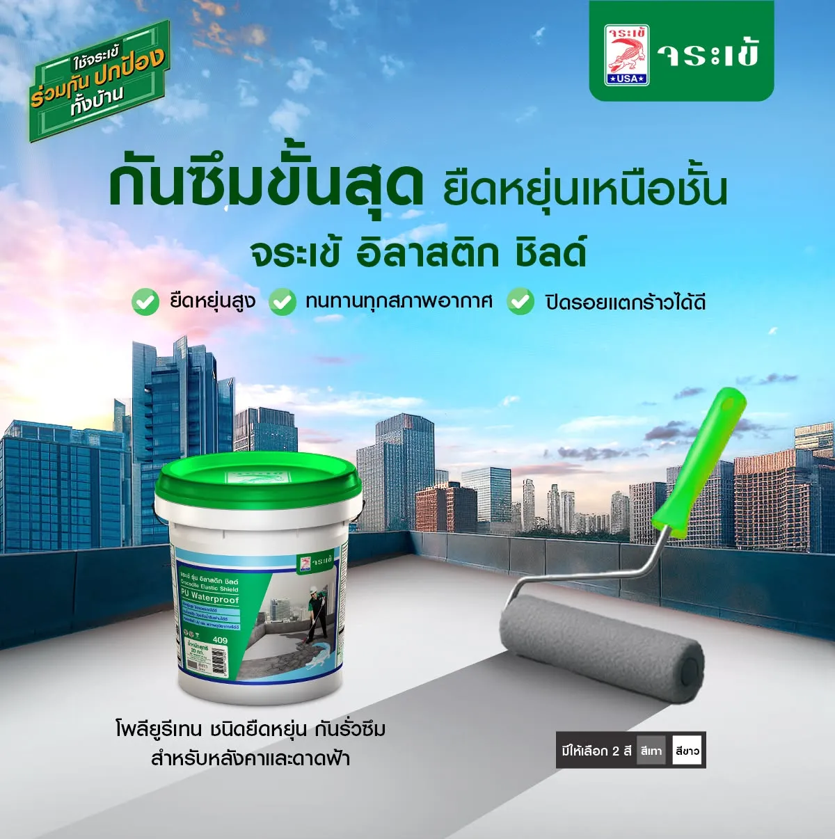 จระเข้ อิลาสติก ชิลด์