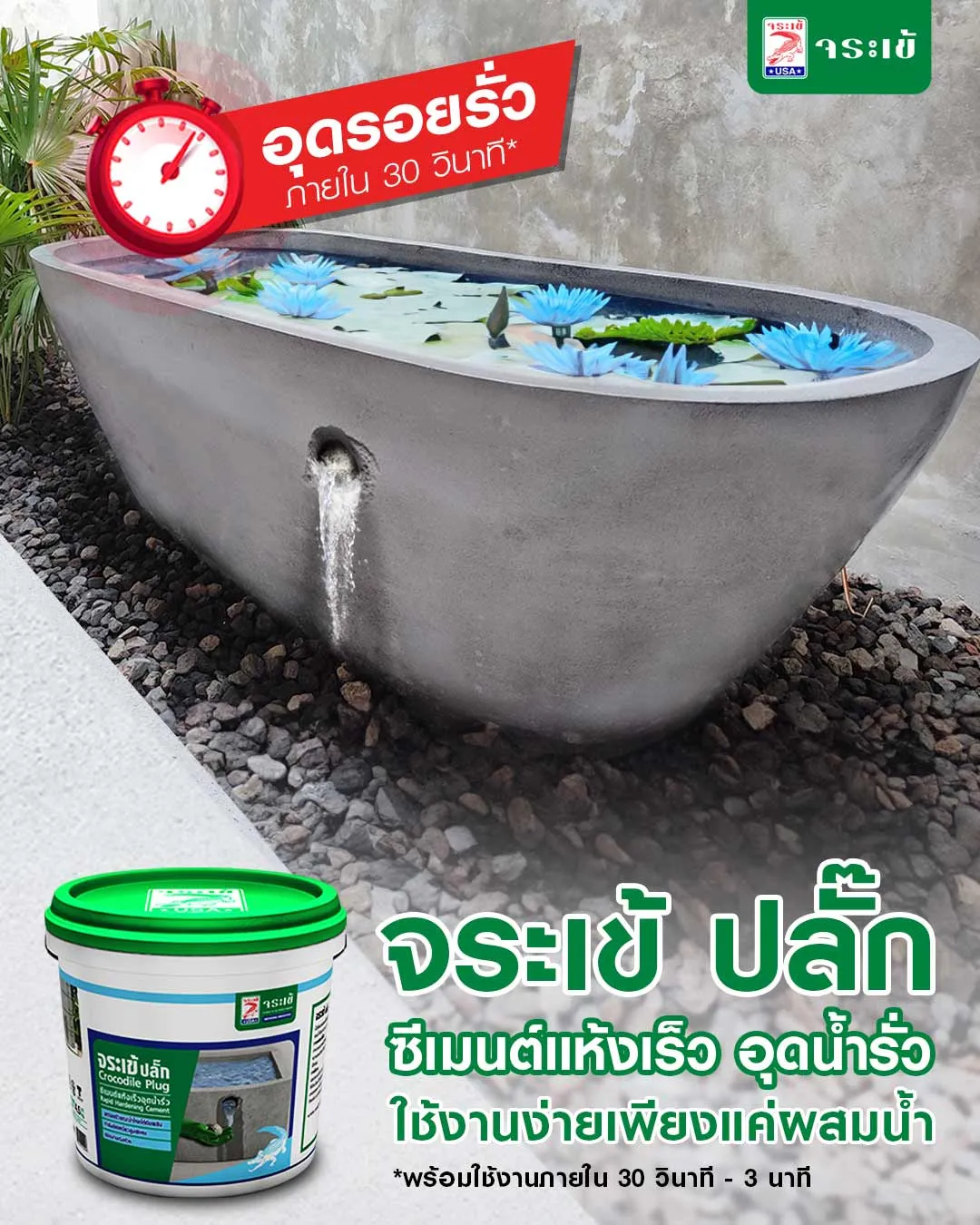  จระเข้ ปลั๊ก