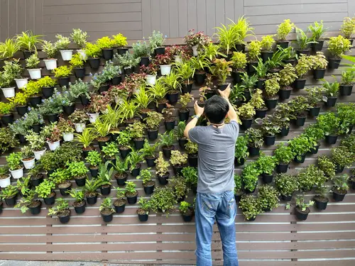 การจัดสวนแนวตั้ง(Vertical Garden)