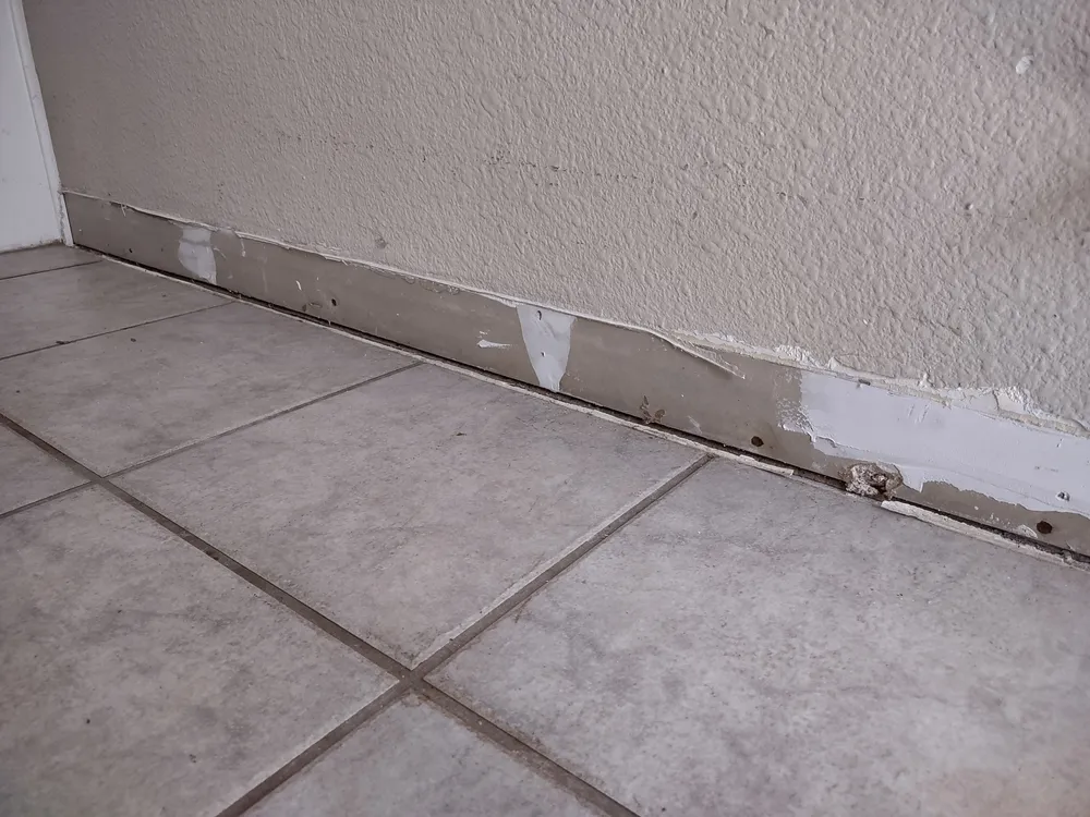 การรื้อบัวพื้นออกทั้งหมด