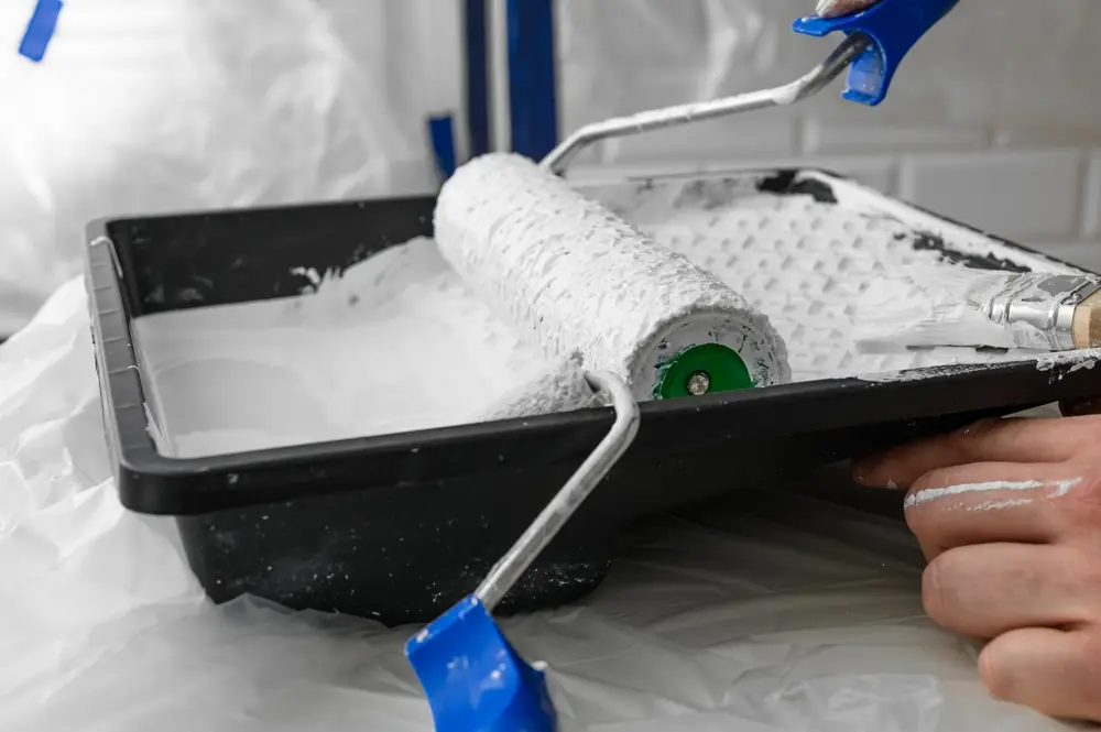 ลูกกลิ้งสี