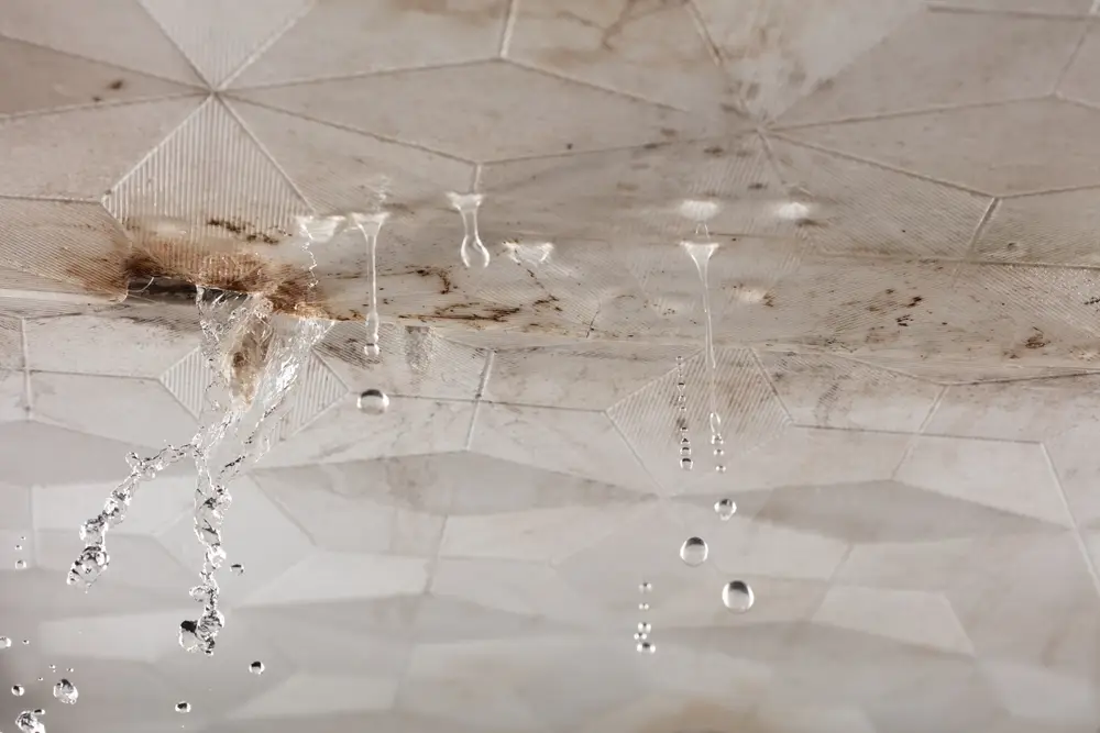 น้ำหยดจากเพดาน