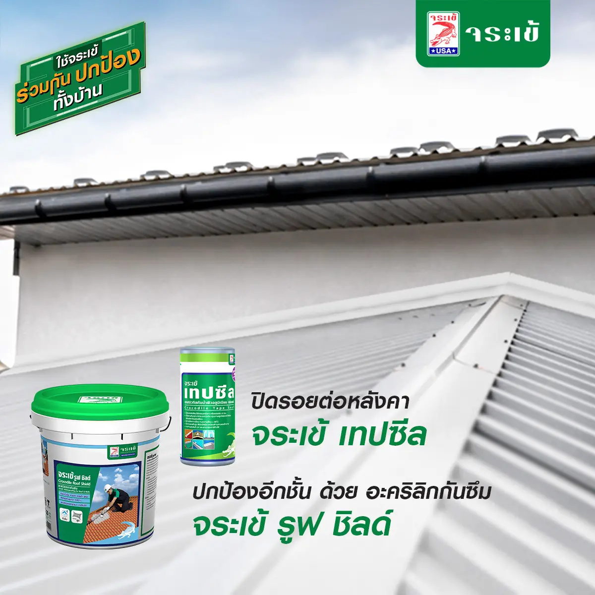 จระเข้ รูฟ ชิลด์