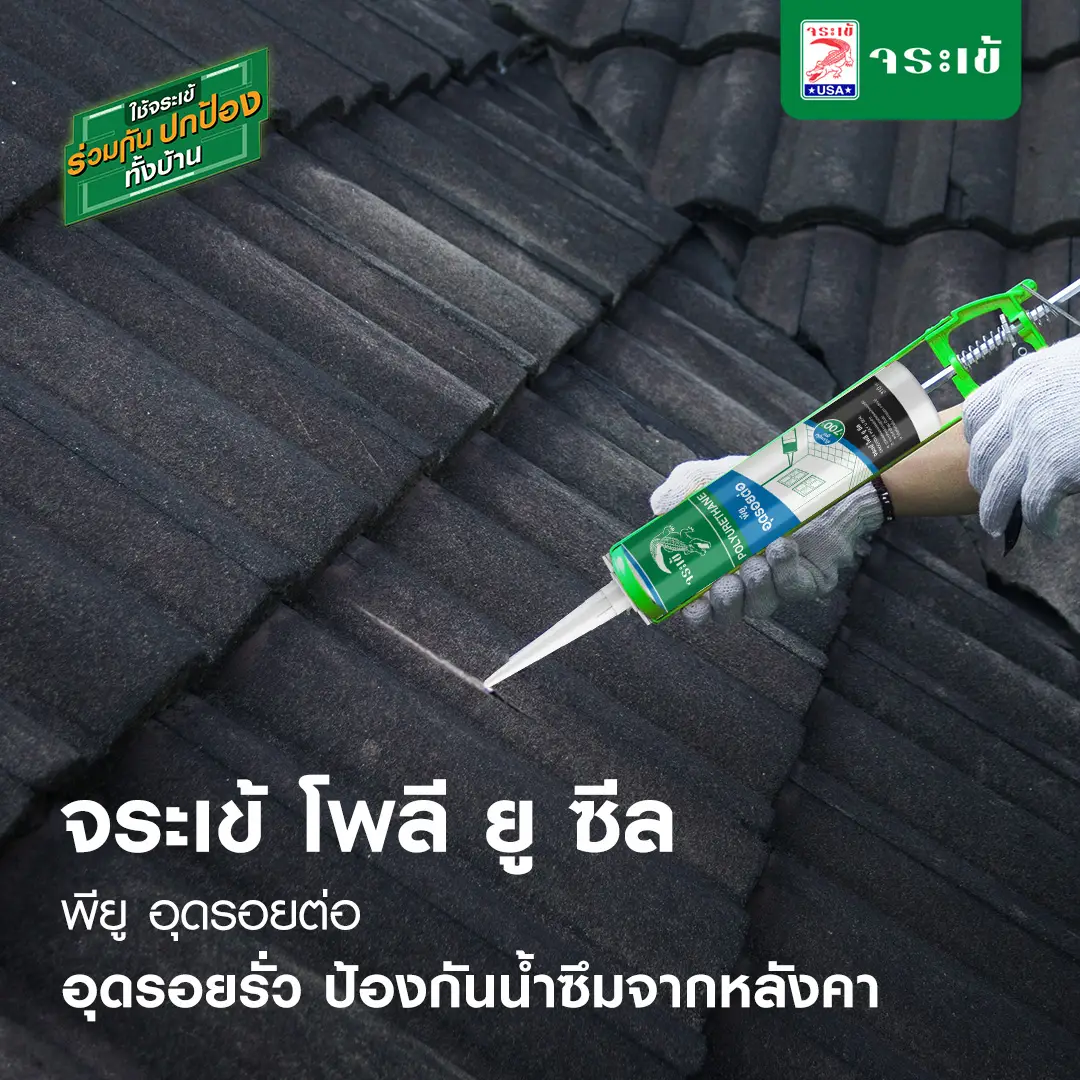 จระเข้ โพลี-ยู ซีล