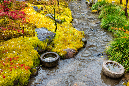 ลำธารในสวนญี่ปุ่น