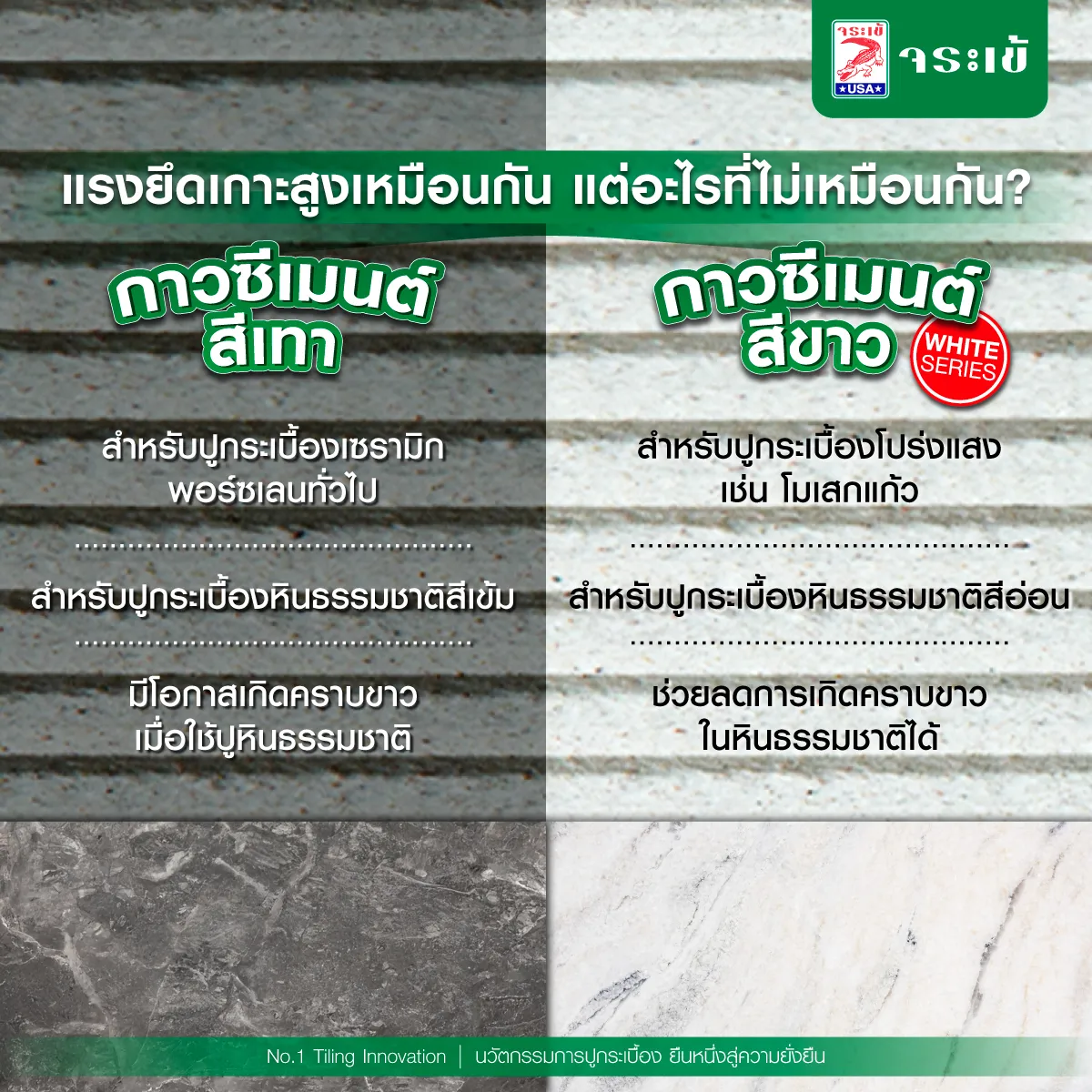 กาวซีเมนต์ขาวจระเข้