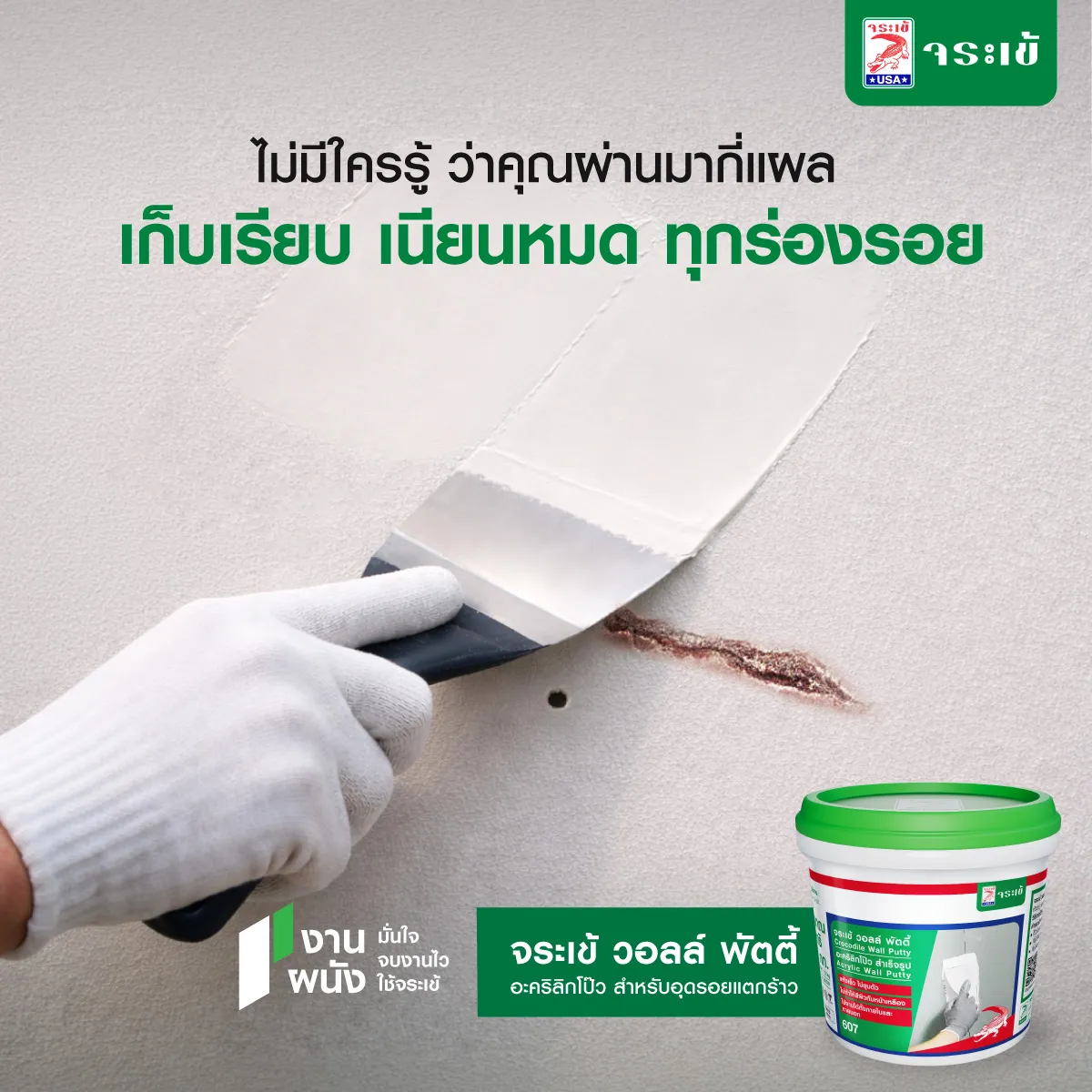 จระเข้ วอลล์ พัตตี้