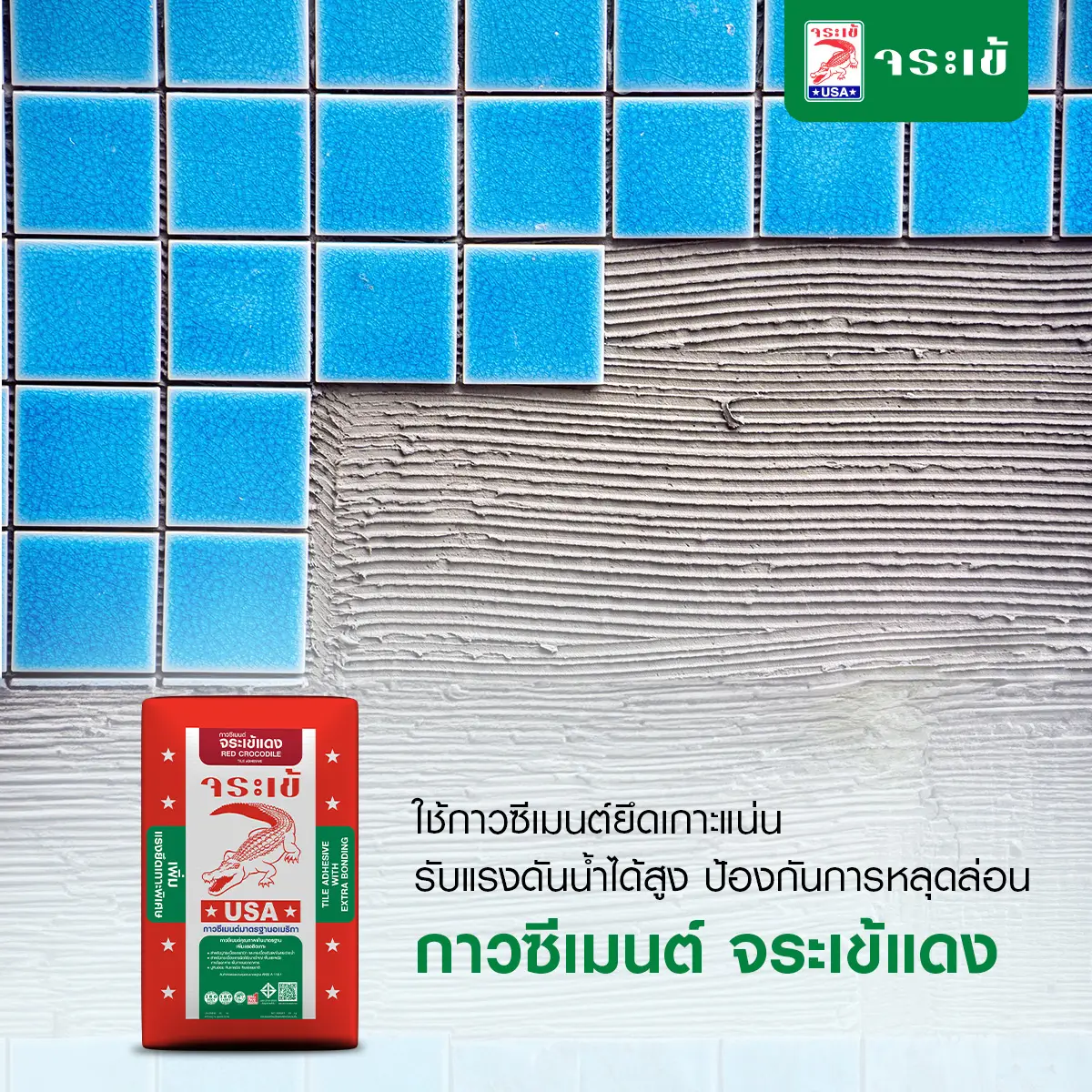 กาวซีเมนต์ จระเข้แดง