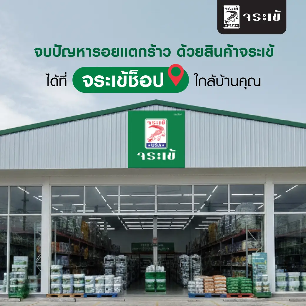 จระเข้ช็อป