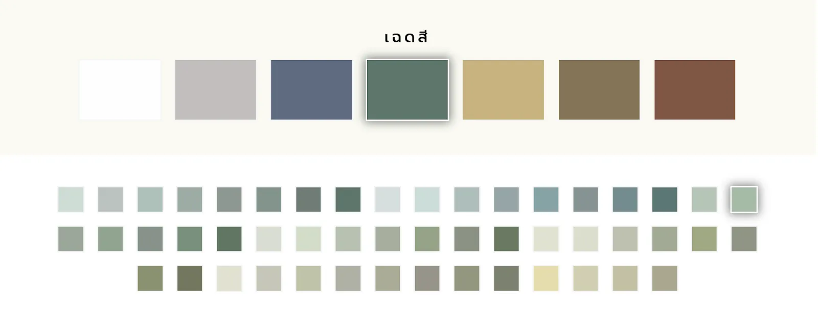 เฉดสีเขียวของสีจระเข้ กราฟคลีน พรีเมี่ยม